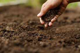 make great garden soil now by amending