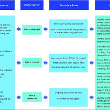 Driver Diagram Cpot Critical Care Pain Observation Tool