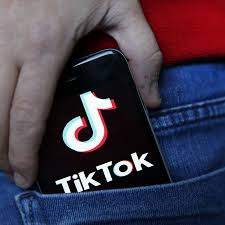 This tiktok follower count, provides the followers live in realtime totally free and working with all tiktok users, you can search who you want. The Most Viewed Tiktok Videos Of 2019