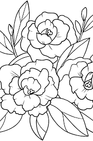 Peony coloring pages provided for. Print A Beautiful Flower Coloring Page For Girls Peony