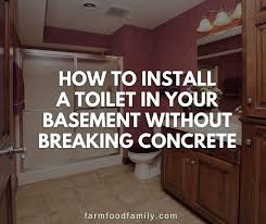 Install A Toilet In Your Basement