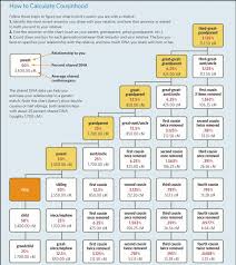 The Jgsgm Blog Family Tree Magazine Dna Relationship Chart