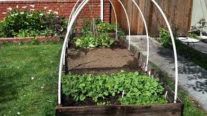 7 Organic Mulches For The Vegetable