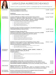 Resume Outline  Professional Resume Templates Create My Resume The    