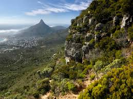 hiking table mountain the 5 best