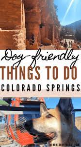 dog friendly things to do in colorado