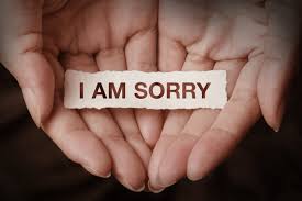 sorry images browse 96 034 stock