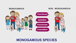 Learn About Monogamous Species | Chegg.com