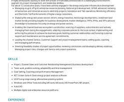 This professional cv sample will help you make the best impression on the hiring managers. Senior Project Manager Resume Sample Cv Sample 2020 Resumekraft