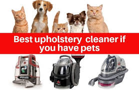 best upholstery cleaner for pet owners