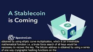 (countable) a unit of the bitcoin digital currency. The Plural Of Bitcoin Bitcoins Or Into English Youtube