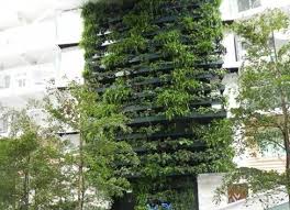 Green Walls Saving Urban Areas