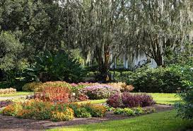 ultimate guide to the leu gardens in