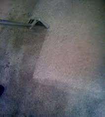 carpet cleaning company texas steam team