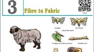 NCERT Solutions for Class 7 Science: Chapter 3 - Fibre to Fabric