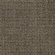 pedigree by masland carpet carpets