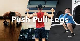 push pull legs workout routine with pdf