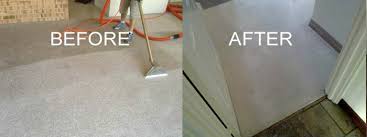 Image result for carpet Cleaning perth
