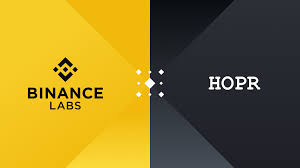It is very possible to make 1 million from crypto in a year. Binance Labs Leads Strategic 1 Million Investment Round In Hopr Binance Blog