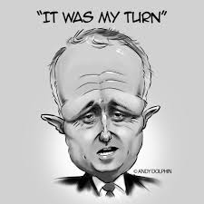 Image result for malcolm turnbull sketch