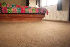 cow dung cladded floor in all the rooms