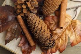 How To Make Cinnamon Pine Cones 2