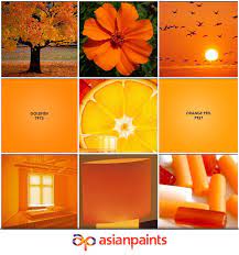 Pin By Asian Paints On Shades Of Summer