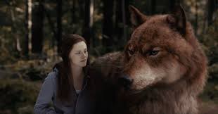 Twilight was originally a book series written by stephenie meyer that has since turned into one of the most successful movie sagas to ever hit the big screen. Twilight Movies In Order Of Their Release Date Endless Popcorn