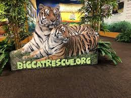 Worth visit! de la opinión: Ar Zoo Big Cat Rescue