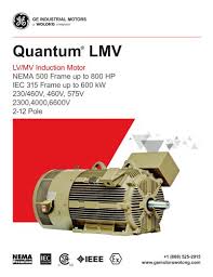quantum lmv ge motors pdf catalogs