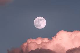 Full Moon September 2021 Ritual - Full Moon Ritual to Raise Power — Disorient