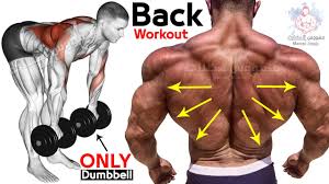 exercise back workouts dumbbells row