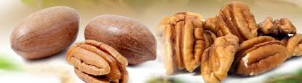 mind ing health benefits of pecan nuts