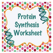 Protein Synthesis Worksheet Transcription Translation