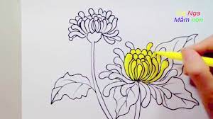 Vẽ hoa cúc đơn giản- Cách vẽ hoa cúc - Drawing a Daisy - Dạy vẽ và tô màu  tranh đẹp nhất - Kho gấu bông giá rẻ nhất Việt Nam