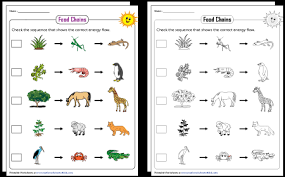 4th grade language arts worksheets. Worksheets For Kids Free Printables For K 12