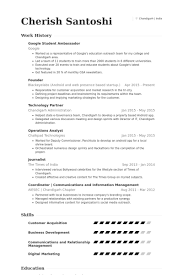Best Resume Format In        Professional resumes example online