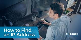 How to Find IP Address of Website, Server, or Domain | Nexcess