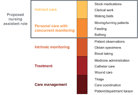 proposed nursing istant role