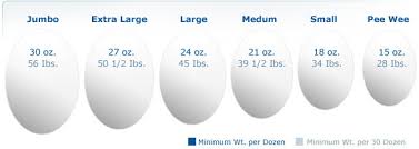How Large Is A Large Egg