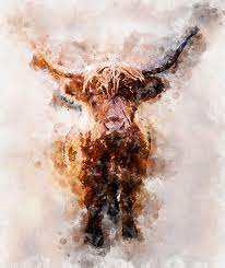 Highland Cow Wall Art Canvas Art And
