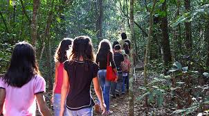 Trilha em Campo Grande oferece aventura e ensina visitantes a preservarem o meio ambiente – Turismo MS