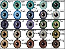 Eye Color Chart For Kids Www Bedowntowndaytona Com