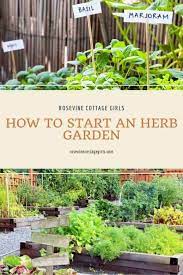 How To Start An Herb Garden