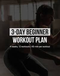 3 day beginner workout plan gylic