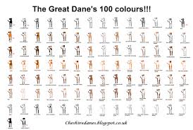 Great Dane Color Chart Great Dane Colors Great Dane Puppy