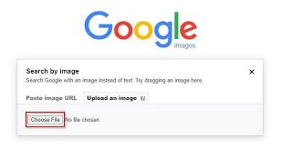 reverse image search insram in 2022