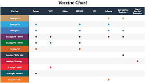 Products Vaccines Merck Equine