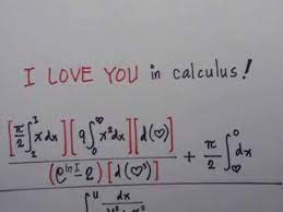 I Love You In Calculus You