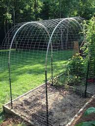 Budget Diy Squash Arch Ideas For Garden